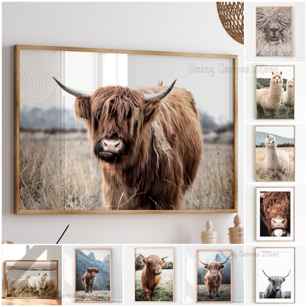 วัวไฮแลนด์สก็อตแลนด์ สัตว์ป่า  - Photography Nature บทวิจารณ์และราคา